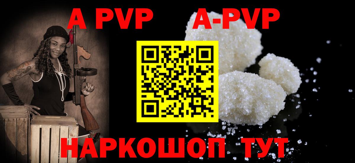 Альфа ПВП СК КРИС Кизилюрт