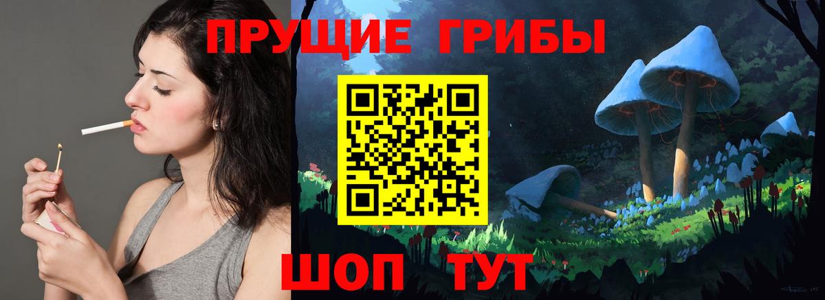 закладки  Псилоцибиновые грибы прущие грибы  Вход с VPN  Кизилюрт 
